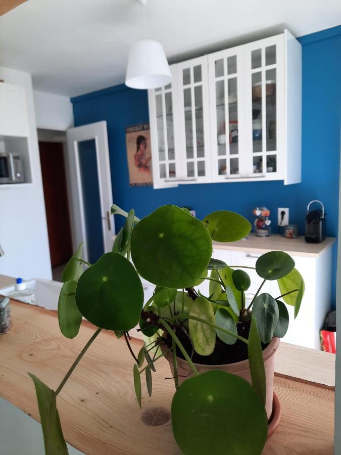 Appart Proche Plage Avec Grand Balcon Cannes Dış mekan fotoğraf